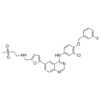 Lapatinib Structure