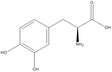 Levodopa Structure