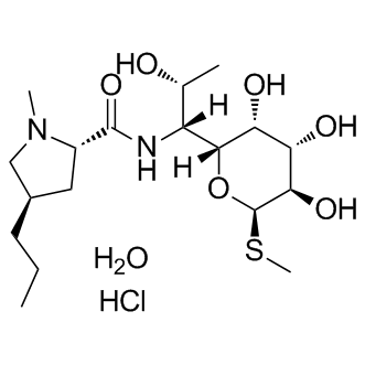 Lincomycin hydrate Structure