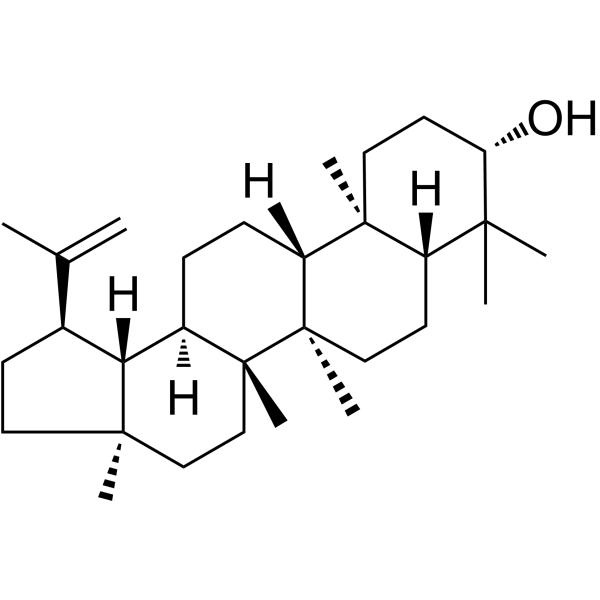 Lupeol Structure