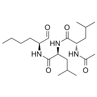 MG-101 Structure