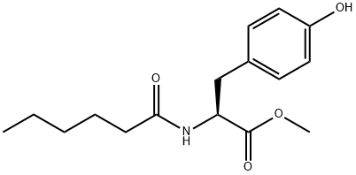 MHP Structure