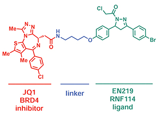 ML 2-14 Structure