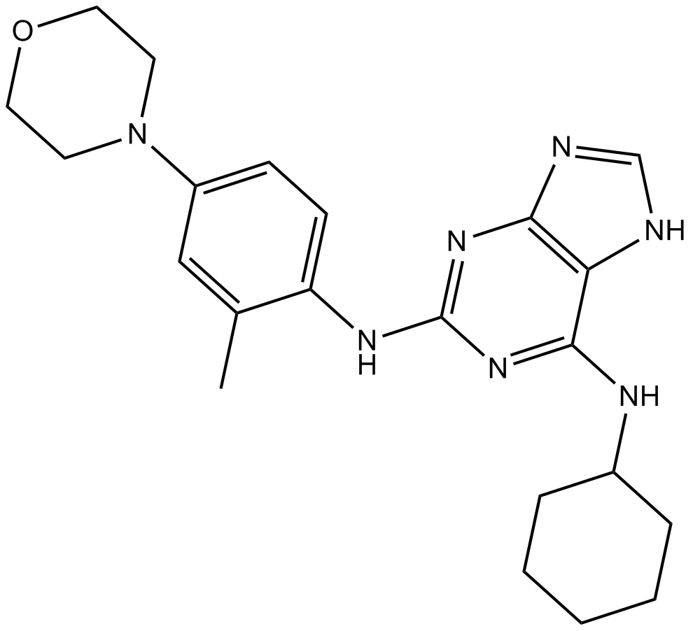 MPI-0479605 Structure