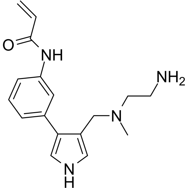 MS117  Structure