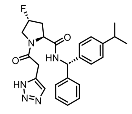MZ-101 Structure