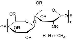 Methyl cellulose Structure