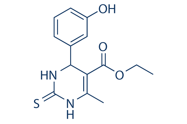 Monastrol Structure