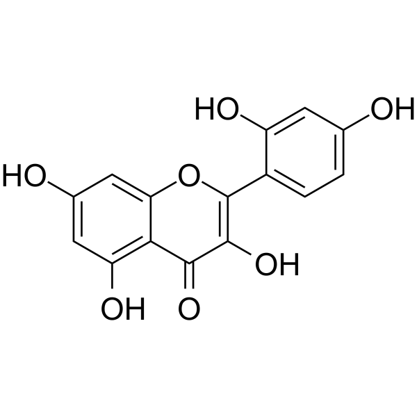 Morin Structure