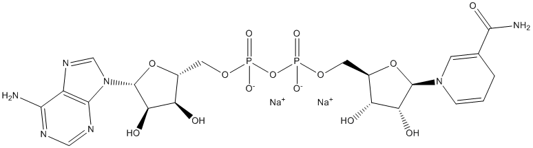 NADH Structure