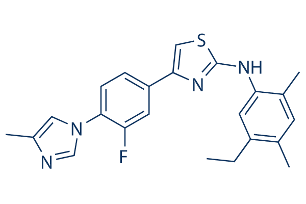 NGP 555 Structure