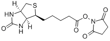 NHS-Biotin Structure