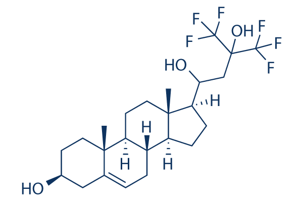 NSC12 Structure