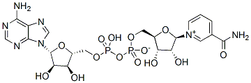 NAD+ Structure