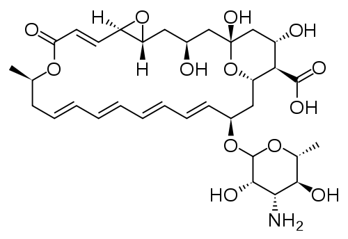 Natamycin Structure