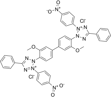 Nitrotetrazolium Blue chloride Structure