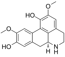 Norisoboldine Structure