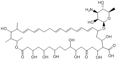 Nystatin Structure