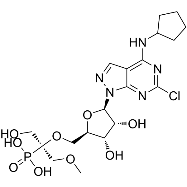 OP-5244  Structure