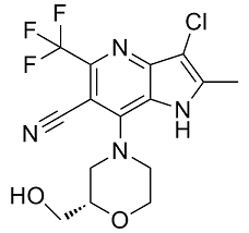 PF-06869206 Structure