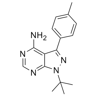 PP1 Structure