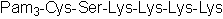 Pam3CSK4 Structure