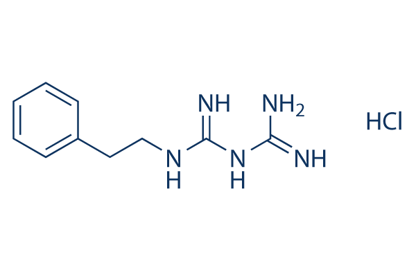 Phenformin HCl Structure