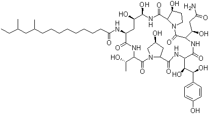 Pneumocandin B0 Structure