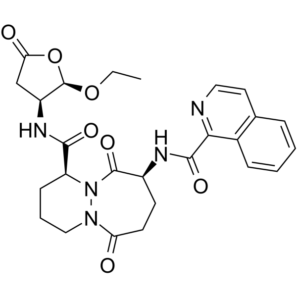 Pralnacasan Structure