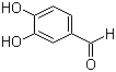 Protocatechualdehyde Structure