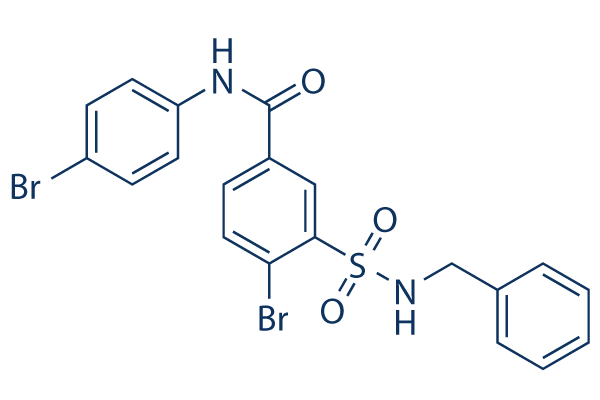 RS-1 Structure