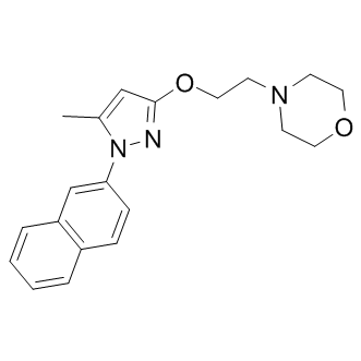 S1RA Structure