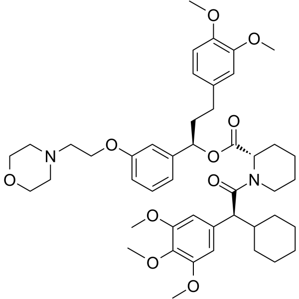 SAFit2  Structure