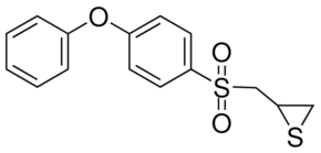 SB-3CT Structure