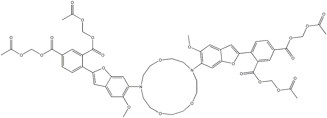 SBFI-AM Structure