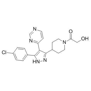 SD-06  Structure