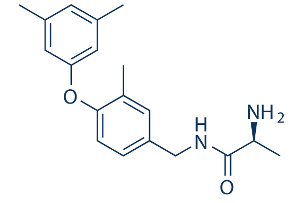 SGC2085 Structure