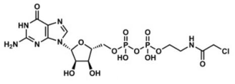 SML-8-73-1 Structure