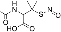 SNAP Structure