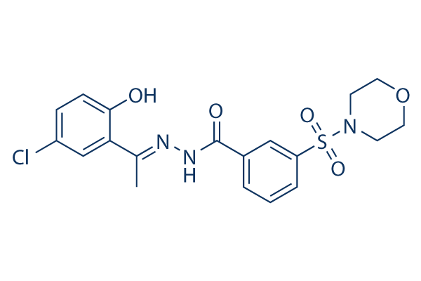 SP2509 Structure