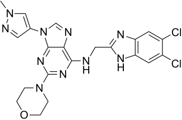 SR-4835 Structure