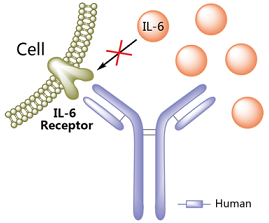 Sarilumab Structure