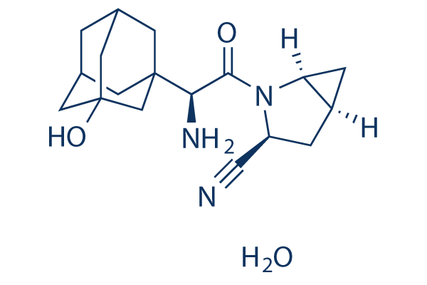 Saxagliptin hydrate Structure