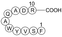 Scrambled 10Panx Structure