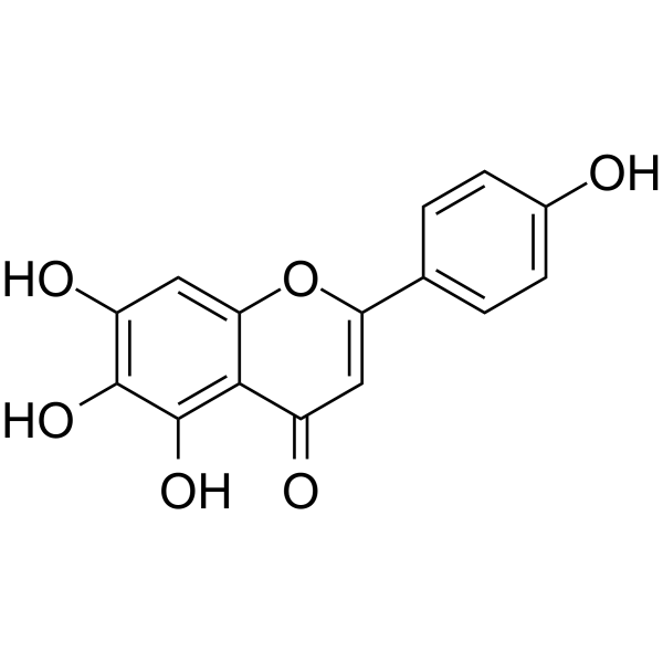 Scutellarein Structure