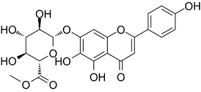 Scutellarin-methylester Structure