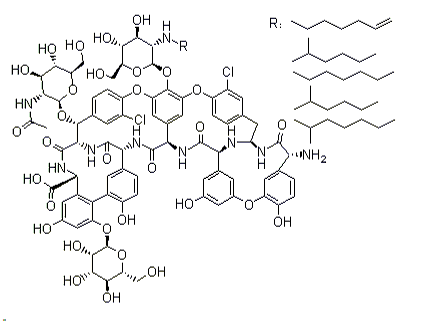 Teicoplanin Structure