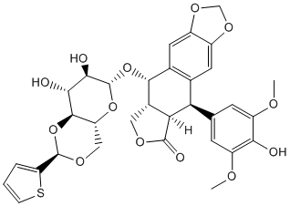 Teniposide Structure