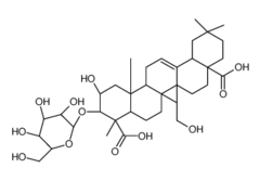 Tenuifolin Structure