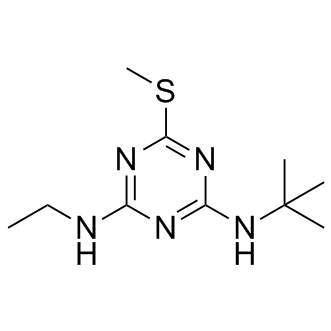 Terbutryn Structure